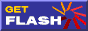 Flash Plugin